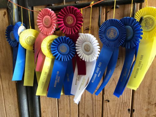 Ribbons hanging in the barns