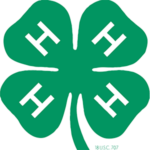 4-H Logo