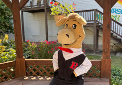 A cheerful MSF mule mascot, wearing a black vest and a red bow tie, sits outdoors on a wooden bench, surrounded by colorful flowers and greenery.