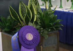 Floriculture Demos