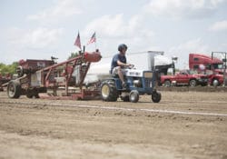 Garden tractor pulling in the Garden Tractor & Mini Rod & Truck Pull