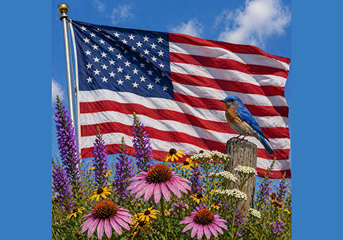 A vibrant scene with a bluebird perched on a wooden post amidst wildflowers, set against a backdrop of the American flag waving under a blue sky.