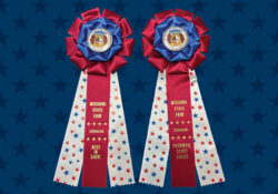 Two festive ribbon rosettes with blue, red and white colors feature gold text: "Missouri State Fair, Sedalia," on a star-patterned background.