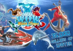 WOW! Water Circus