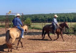 Two cowboys on horseback work in a dirt arena during a horse training clinic, one holding a flag stick.