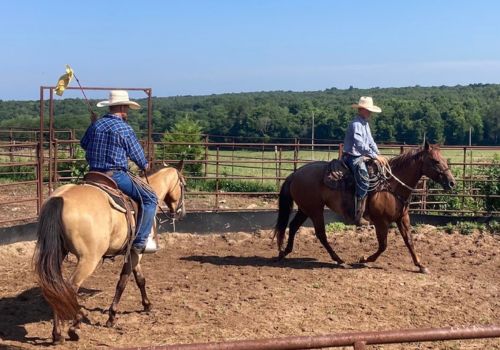 Two cowboys on horseback work in a dirt arena during a horse training clinic, one holding a flag stick.