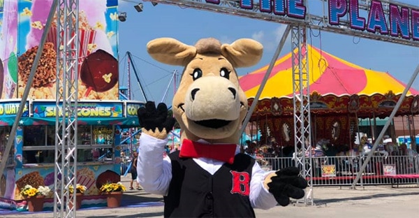 Bart the Mule at the fair