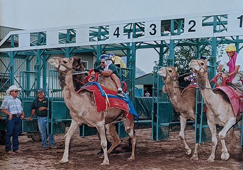 Two people racing camels in traditional desert clothing