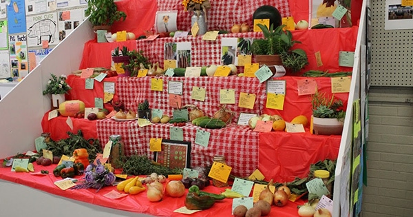 Prize winning produce at the fair