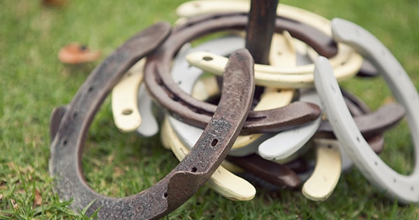 Horseshoes