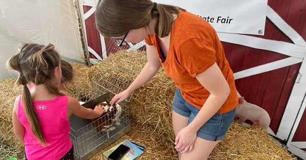 Two girls putting a rabbit