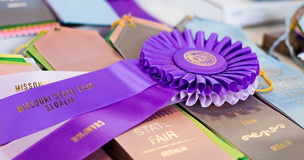 A purple ribbon on top of other ribbons at the Fair