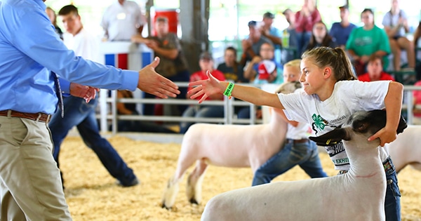 A young girl shaking hands while holding her