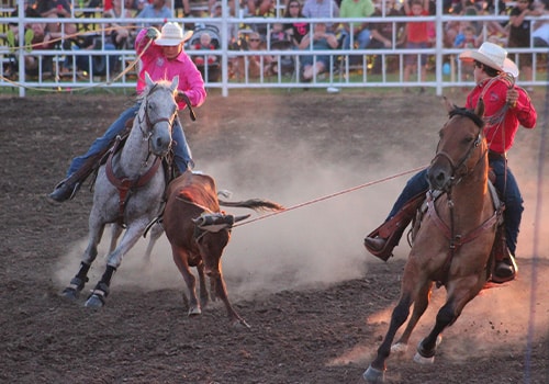 Roping a calf at the MCRA Show-Me State Rodeo