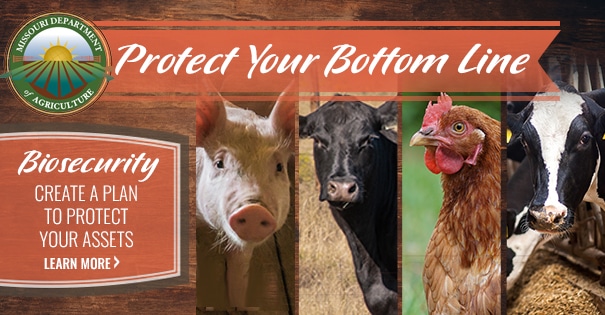 Swine, cattle and poultry with the text protect your bottom line by creating a bio-security plan to protect your assets.