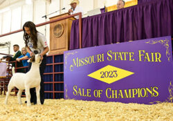 A girl with her goat at the sale