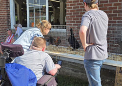 Three people observe chickens in cages at an outdoor fair, beside a brick building. The scene is lively and engaged, with curious expressions.