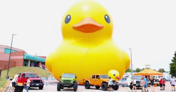 The giant inflatable rubber duck, Mama Duck, and her baby with jeeps parked in front of them